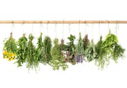 Propiedades medicinales de las infusiones más comunes