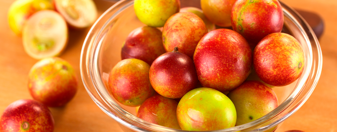 Beneficios del Camu Camu: fuente natural de vitamina C