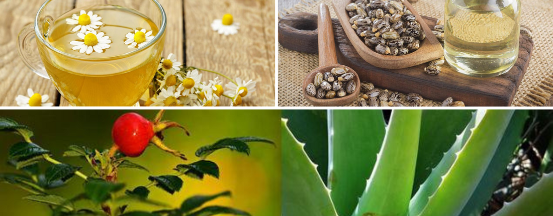 Elimina cicatrices de varicela: Remedios naturales que sí funcionan