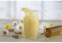 Beneficios de la Jalea Real: Propiedades y Usos para la Salud