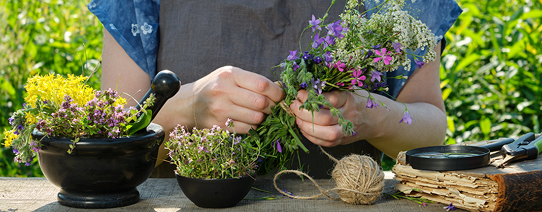 Plantas medicinales para depurar tu organismo antes del verano