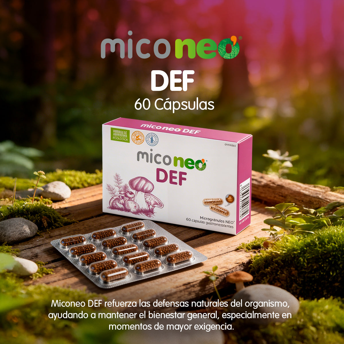 MICONEO DEF