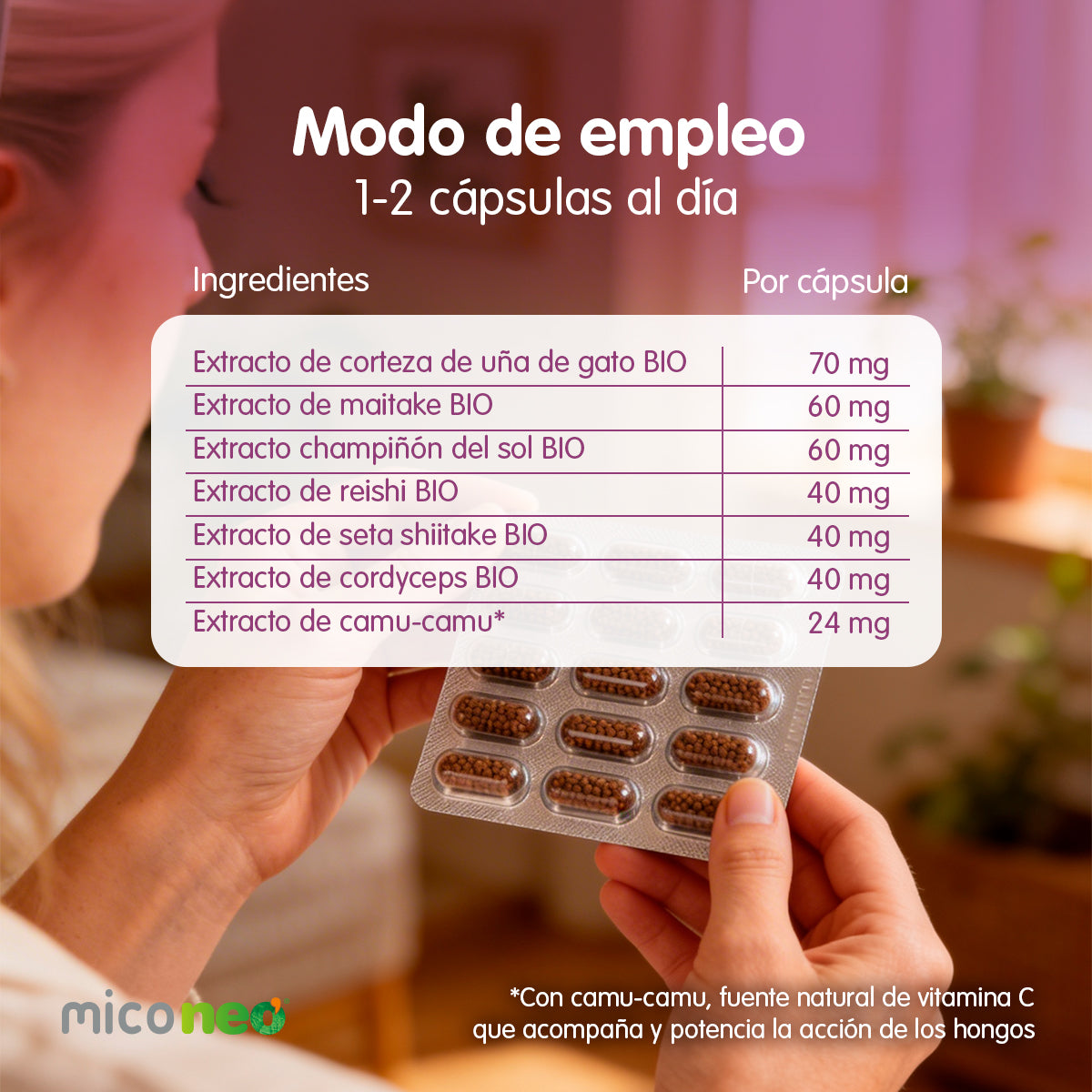 MICONEO DEF