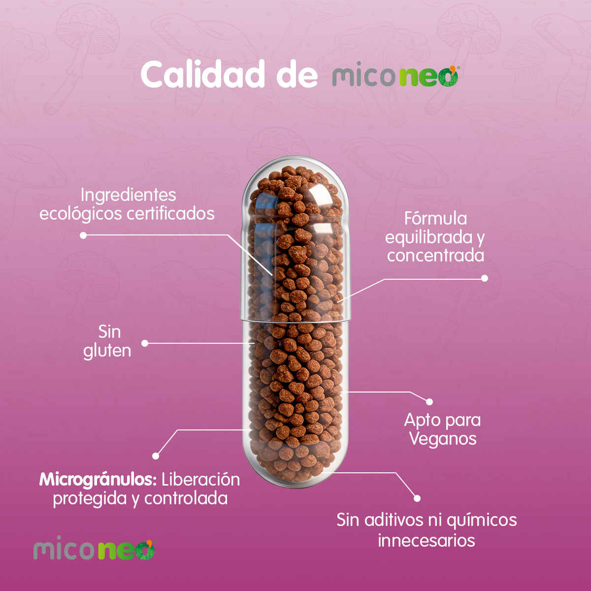 MICONEO DEF