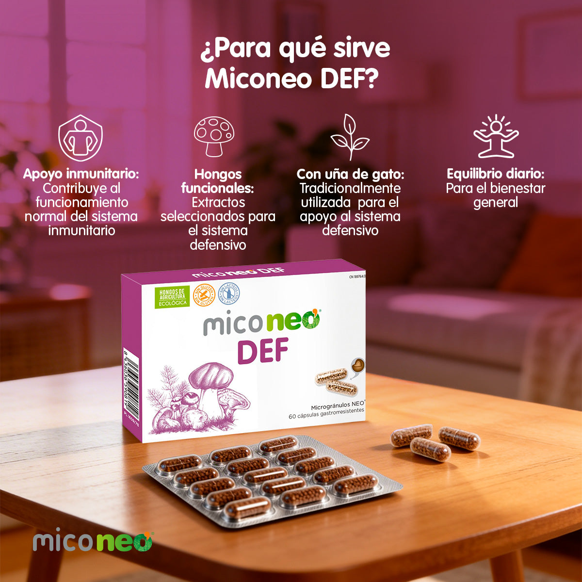 MICONEO DEF