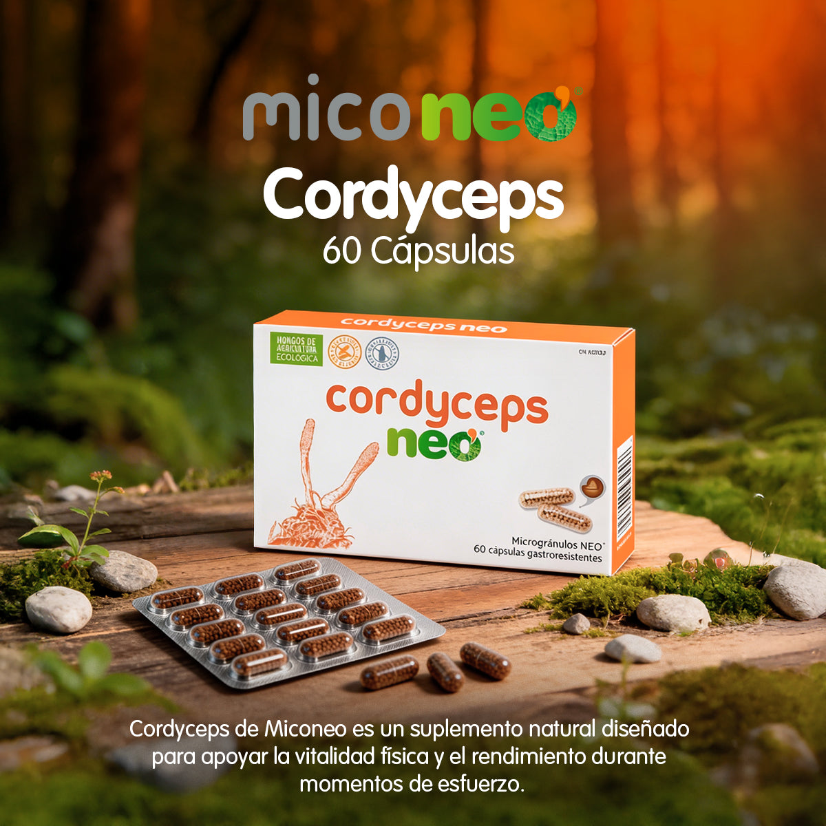 CORDYCEPS NEO