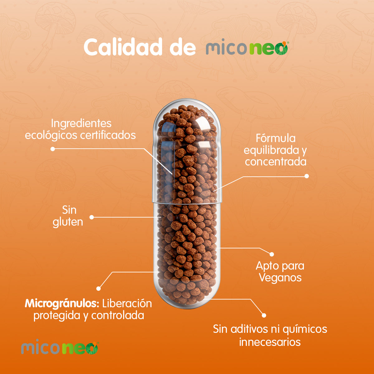 CORDYCEPS NEO