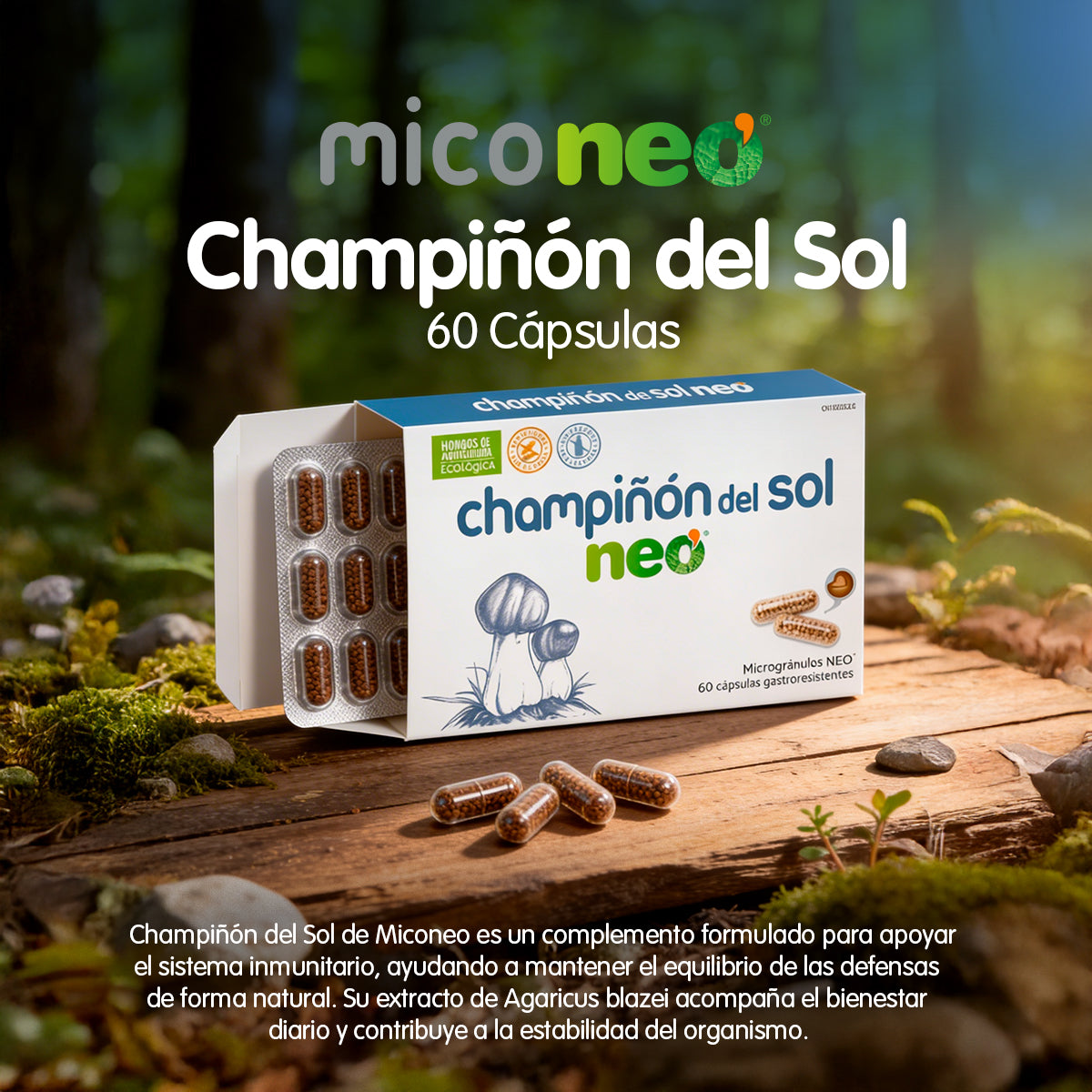 CHAMPIÑON DEL SOL NEO