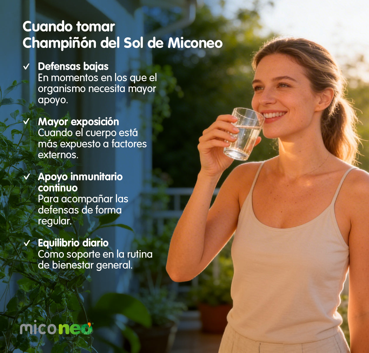CHAMPIÑON DEL SOL NEO