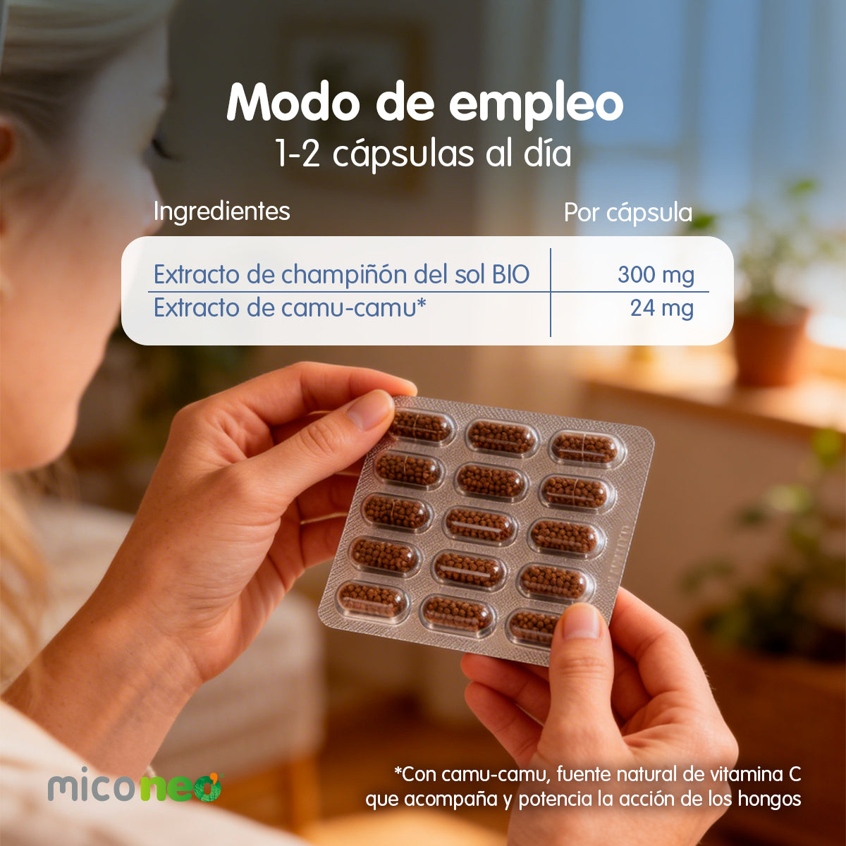 CHAMPIÑON DEL SOL NEO
