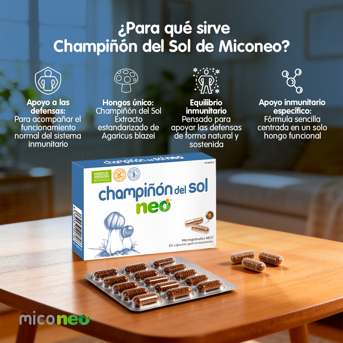 CHAMPIÑON DEL SOL NEO