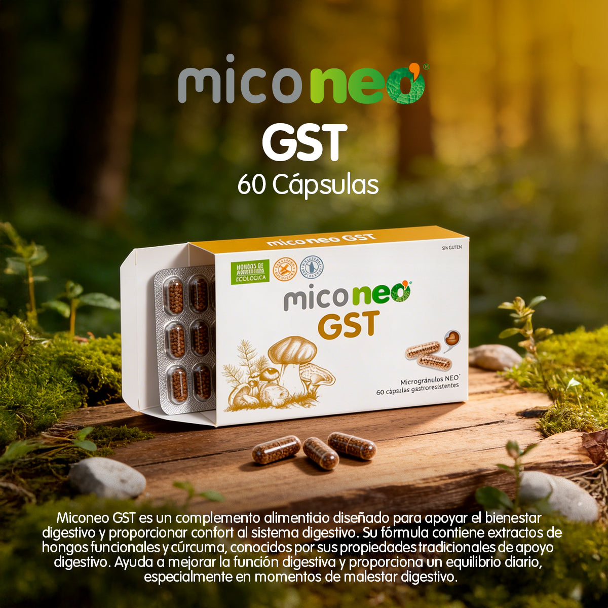 MICONEO GST