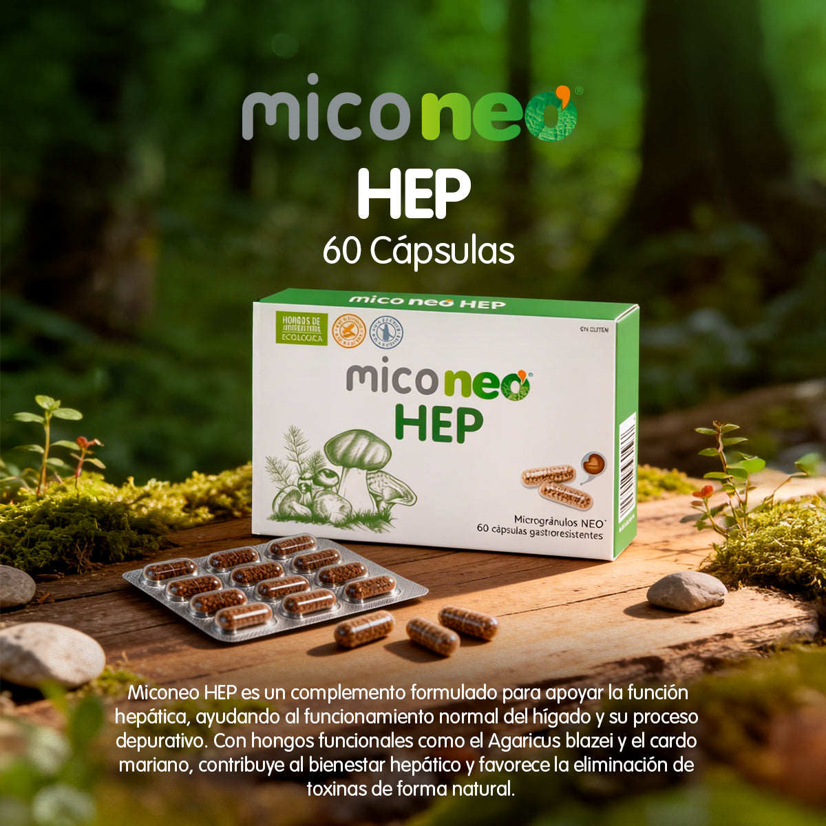 MICONEO HEP