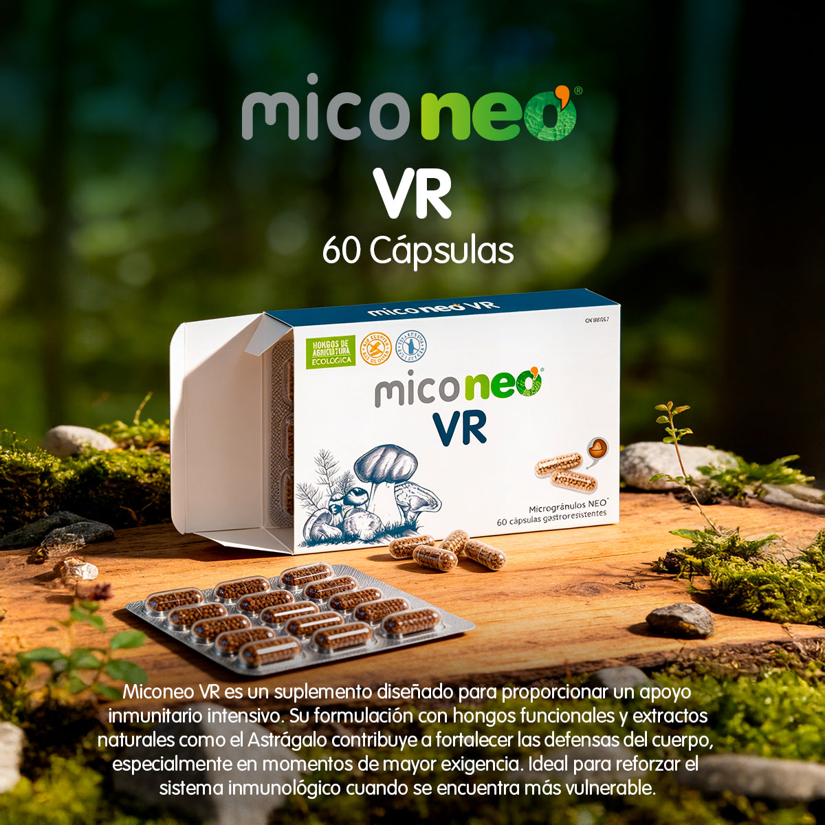 MICONEO VR