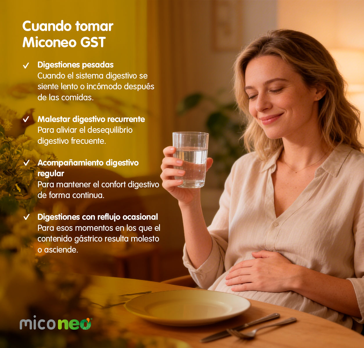 MICONEO GST