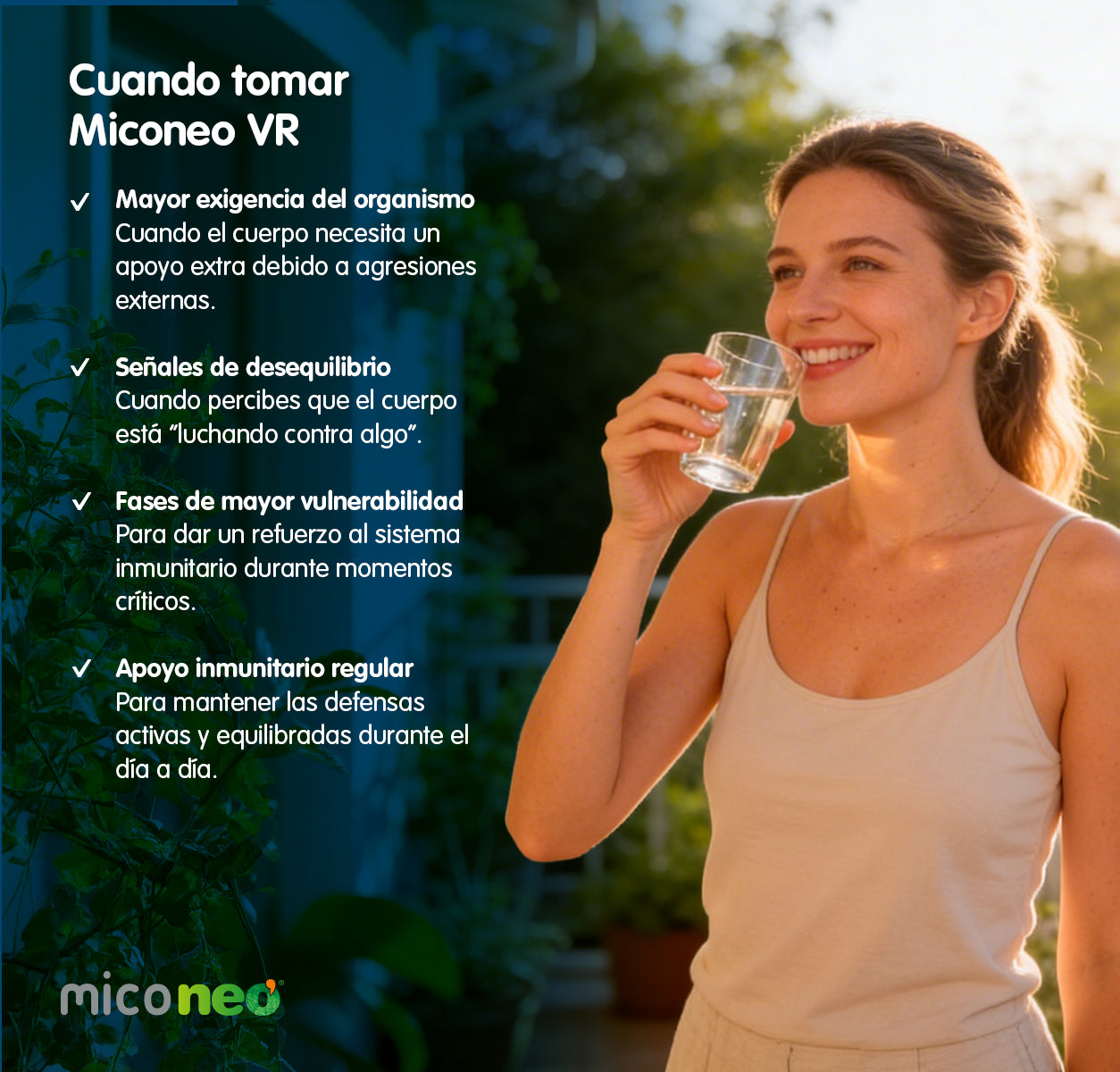 MICONEO VR