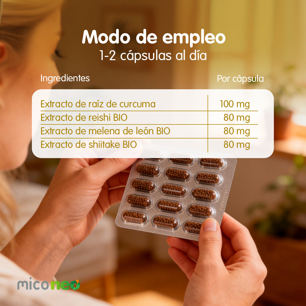 MICONEO GST
