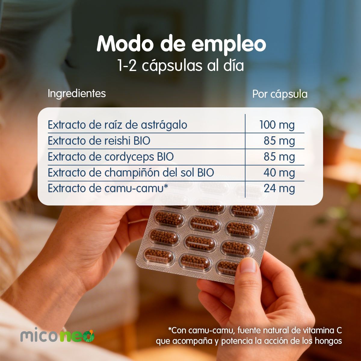 MICONEO VR
