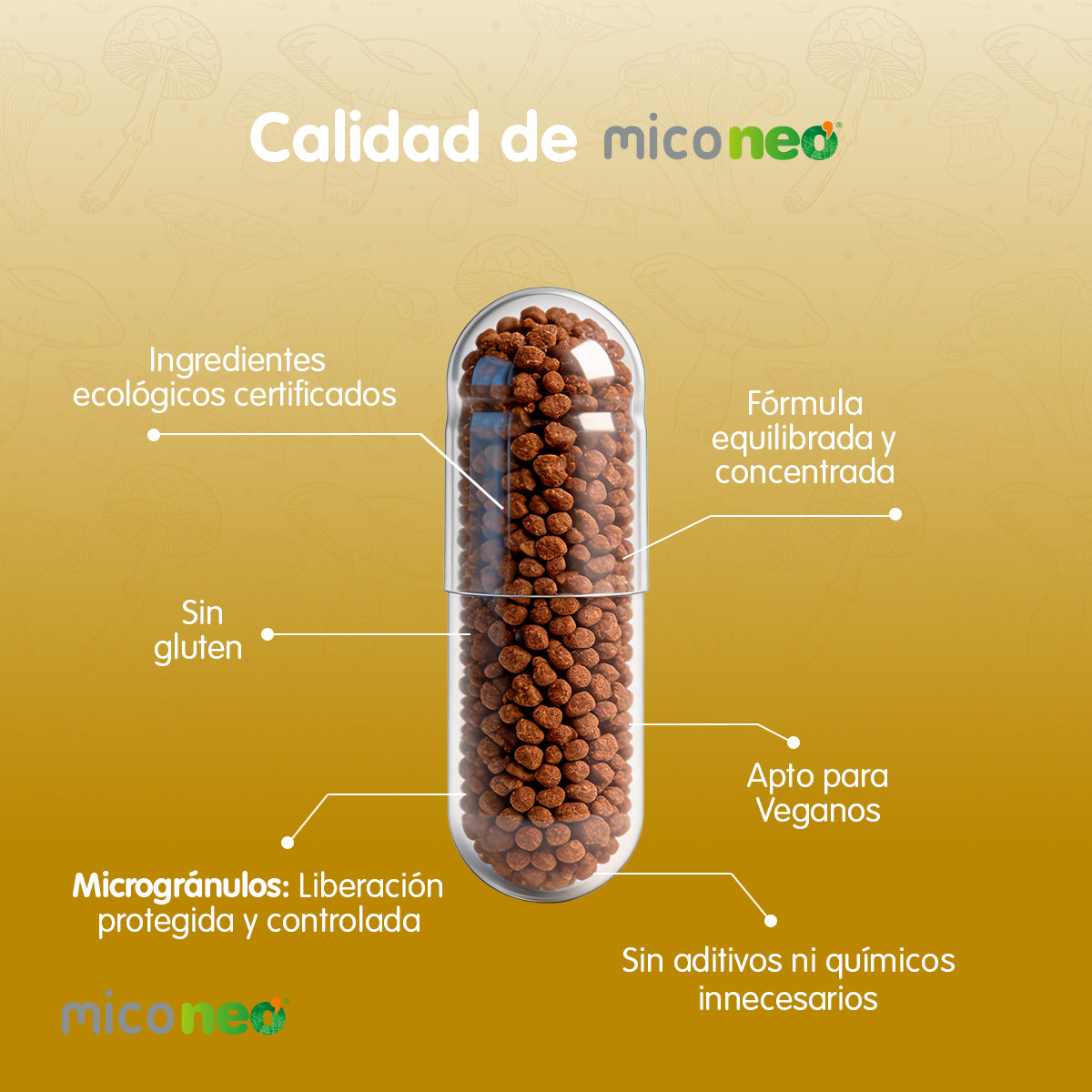 MICONEO GST