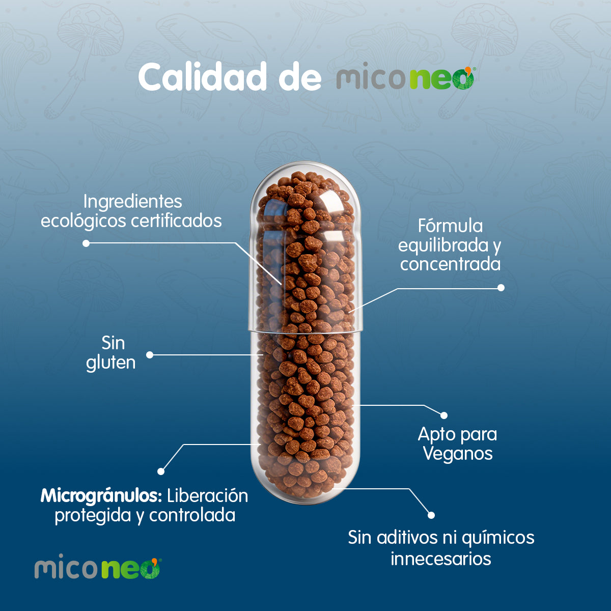 MICONEO VR