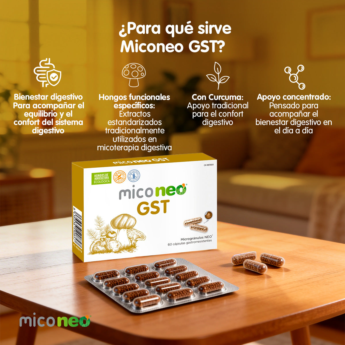 MICONEO GST
