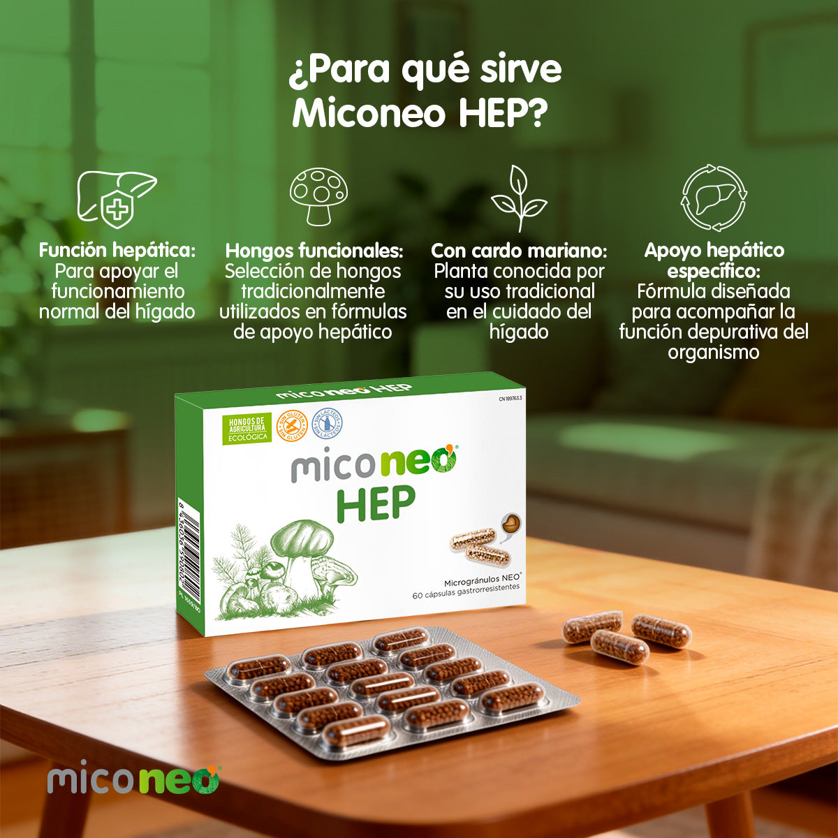 MICONEO HEP