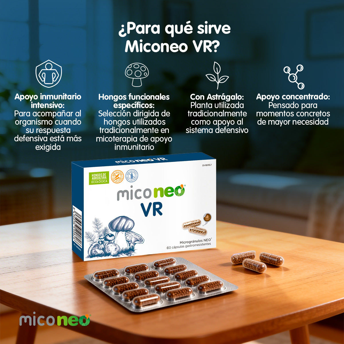 MICONEO VR