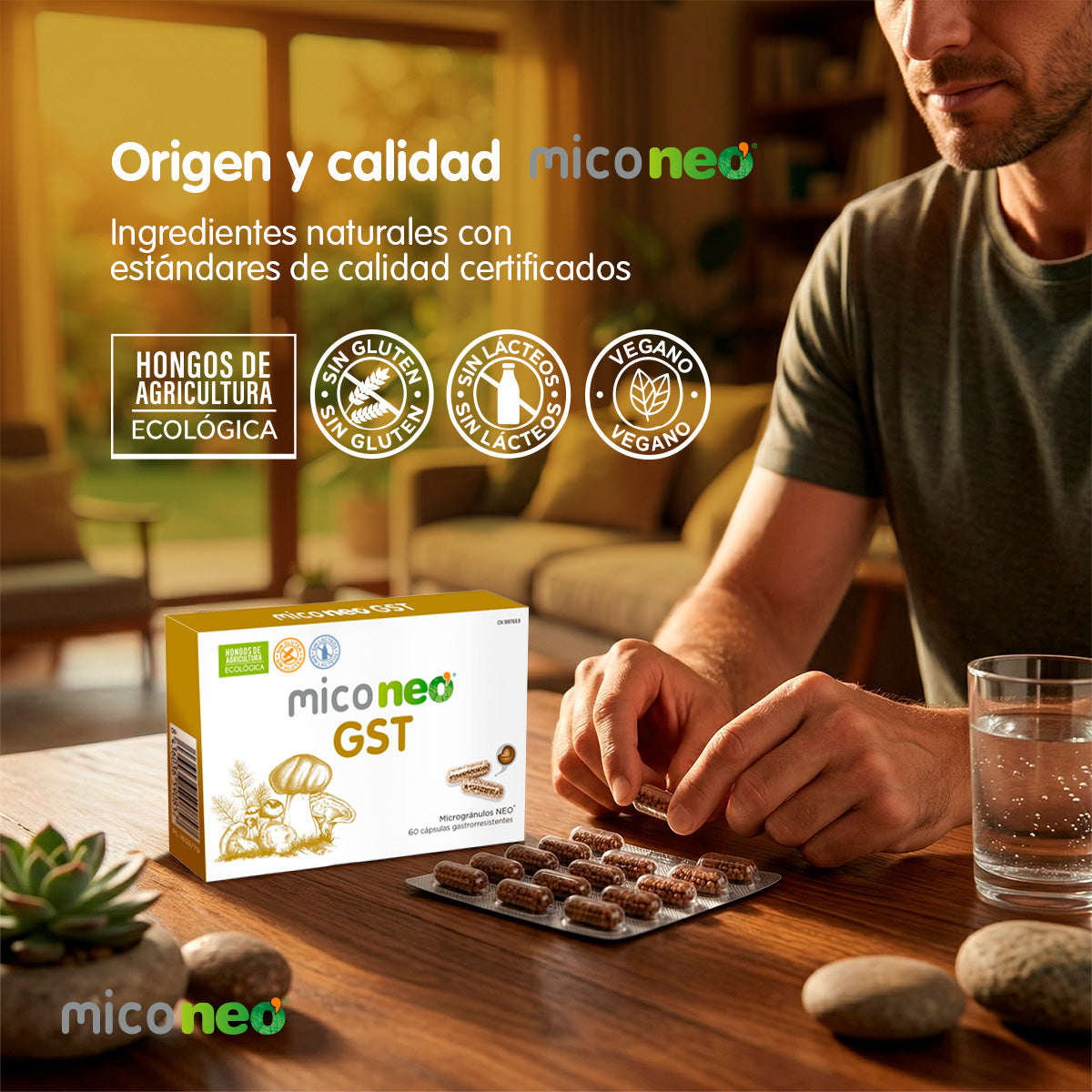 MICONEO GST
