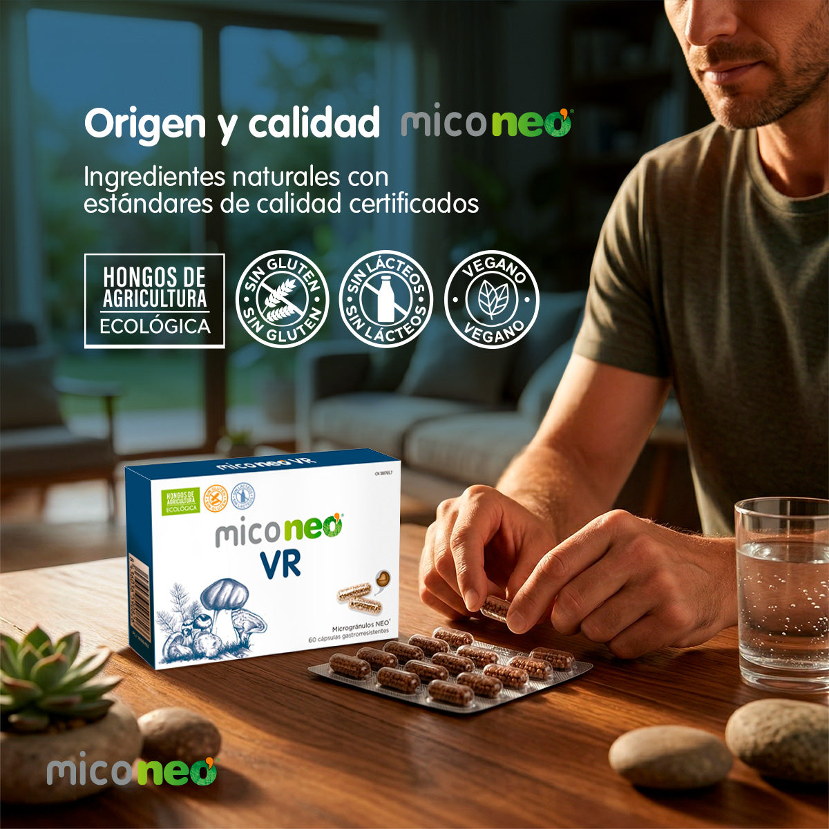MICONEO VR