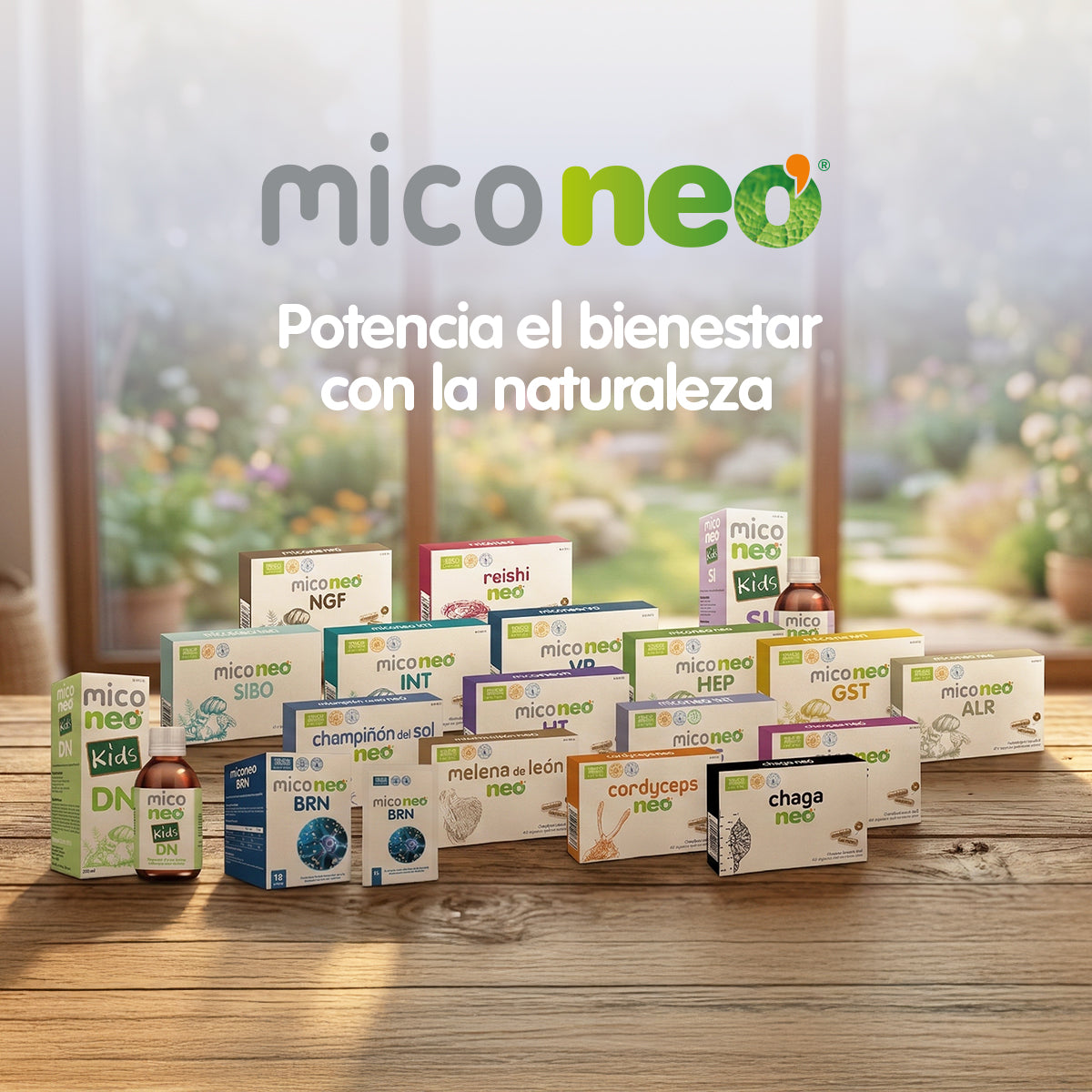 MICONEO GST