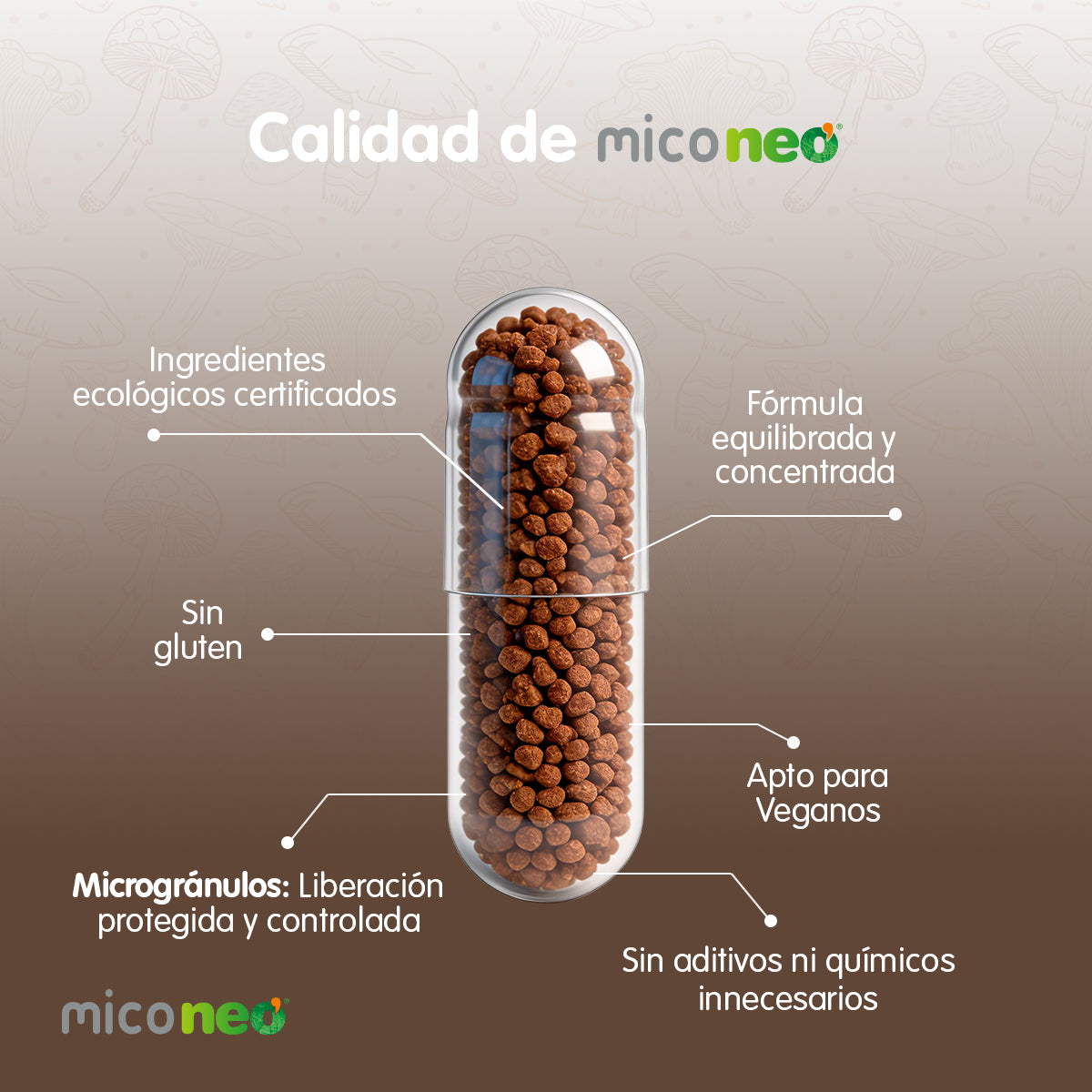 MICONEO NGF