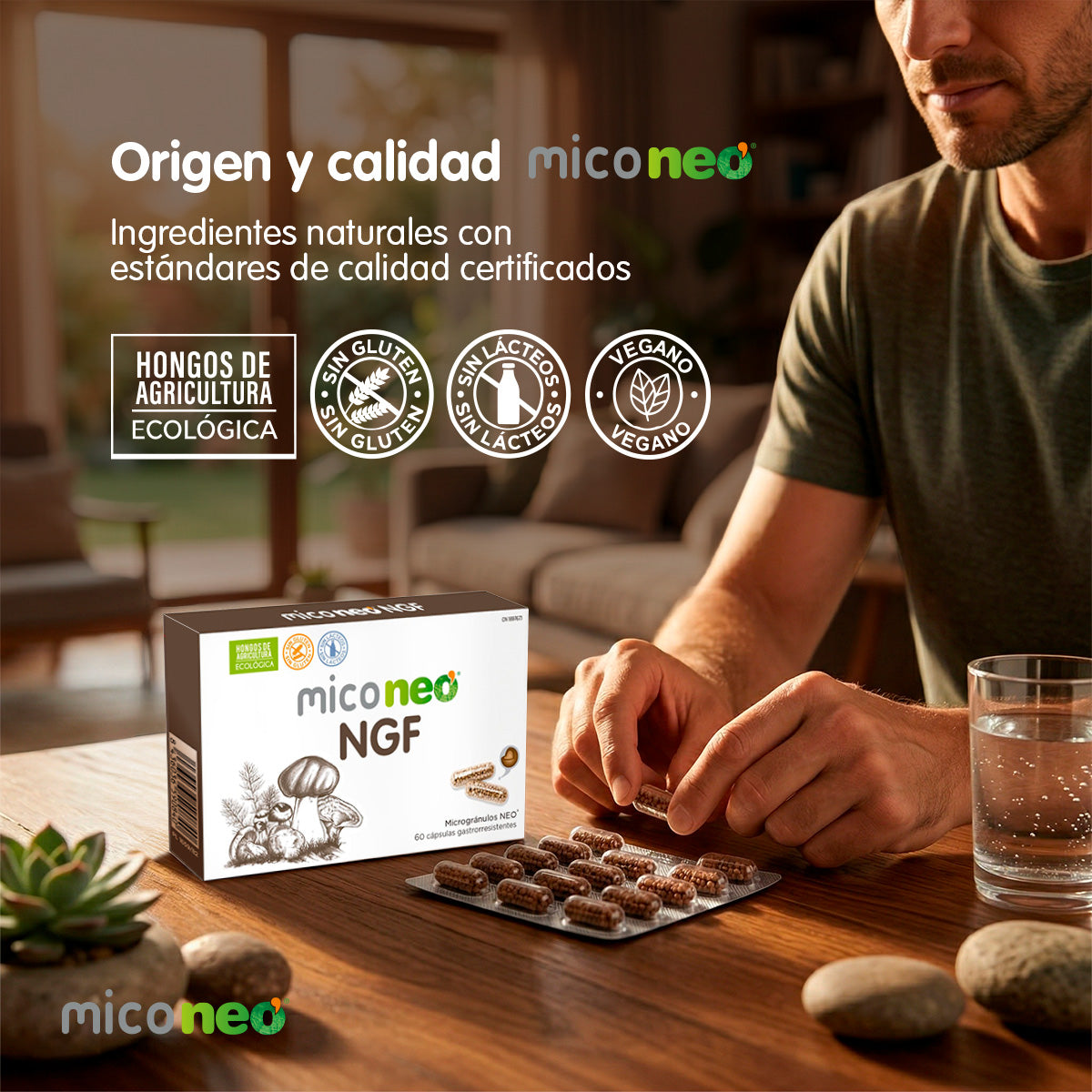 MICONEO NGF