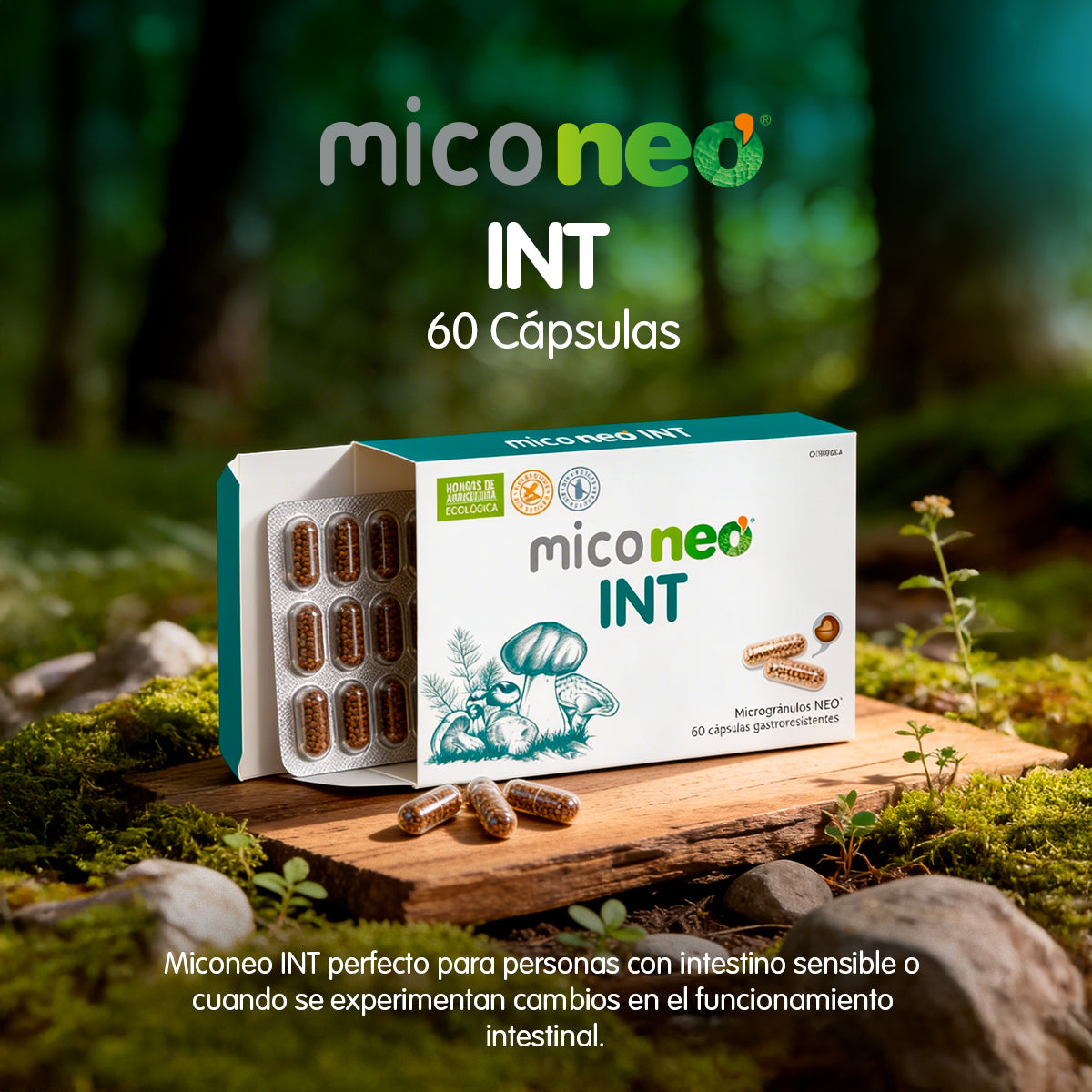 MICONEO INT