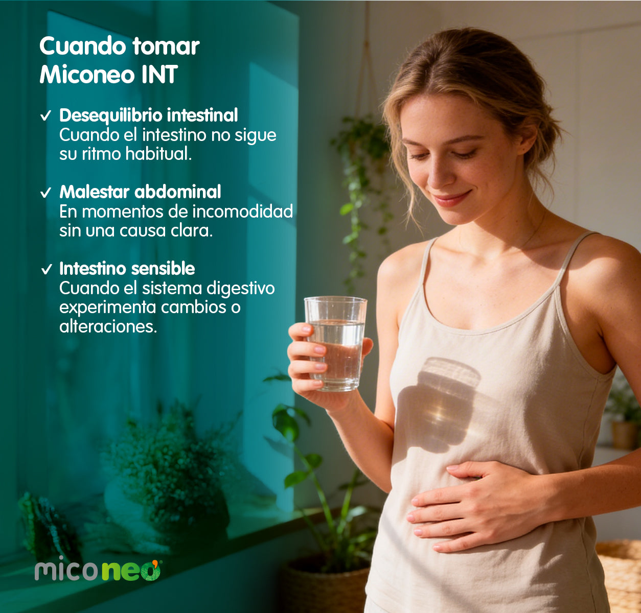 MICONEO INT