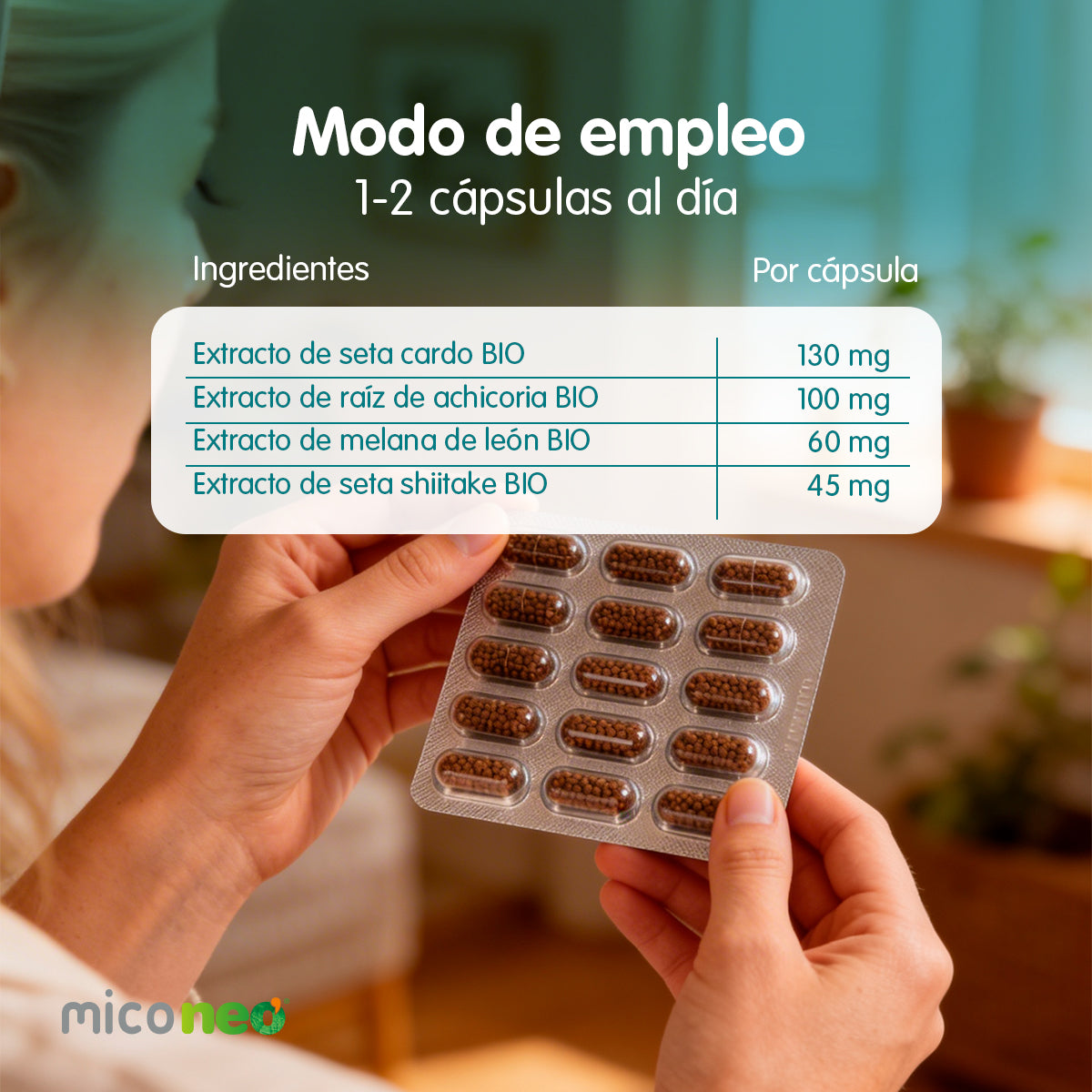 MICONEO INT