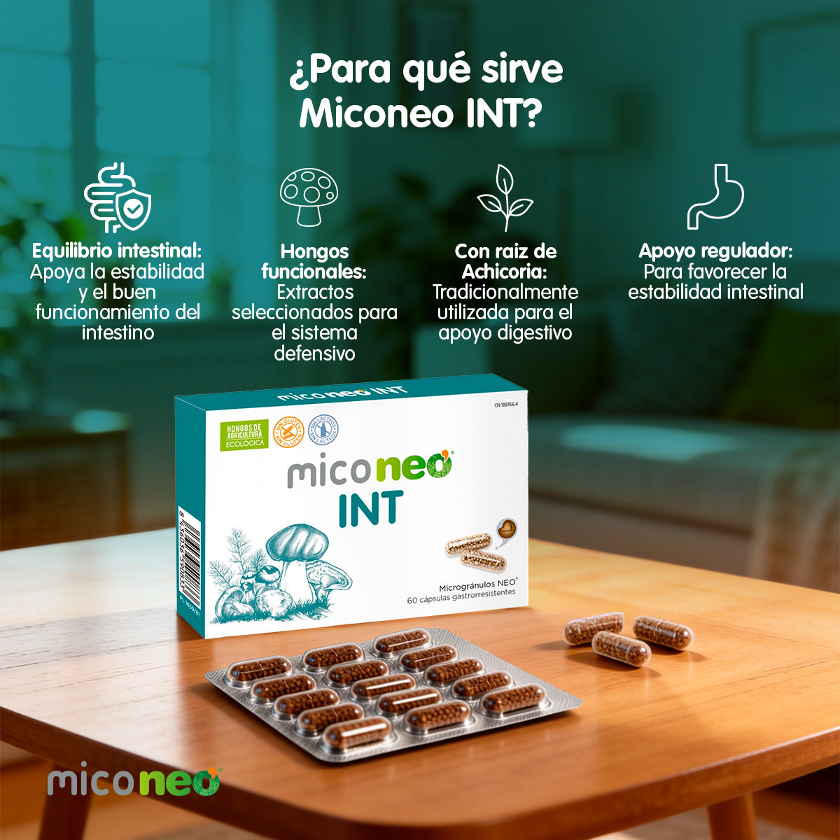 MICONEO INT