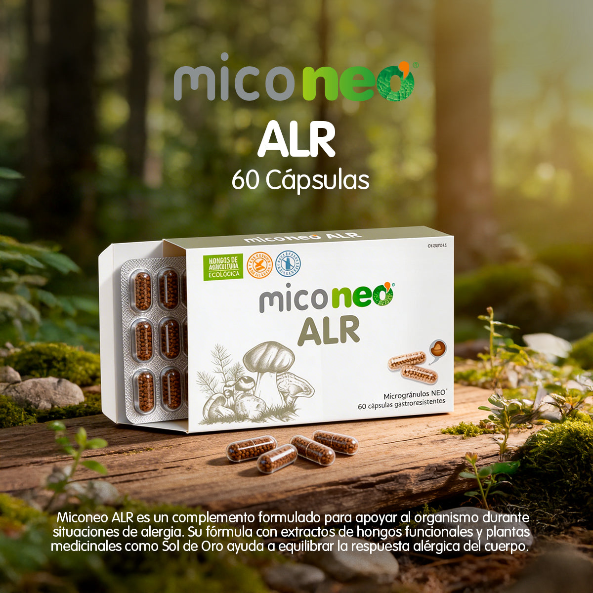 MICONEO ALR
