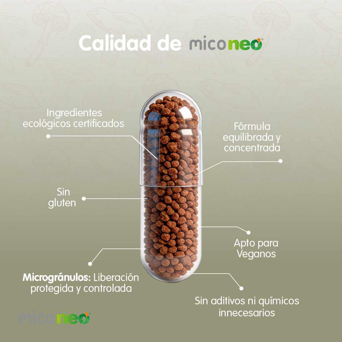 MICONEO ALR