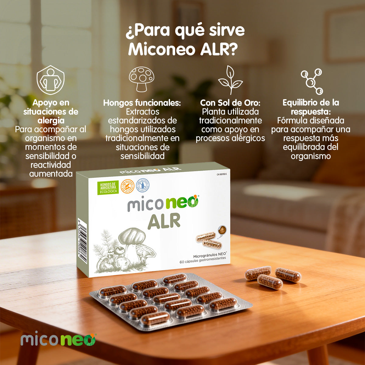 MICONEO ALR