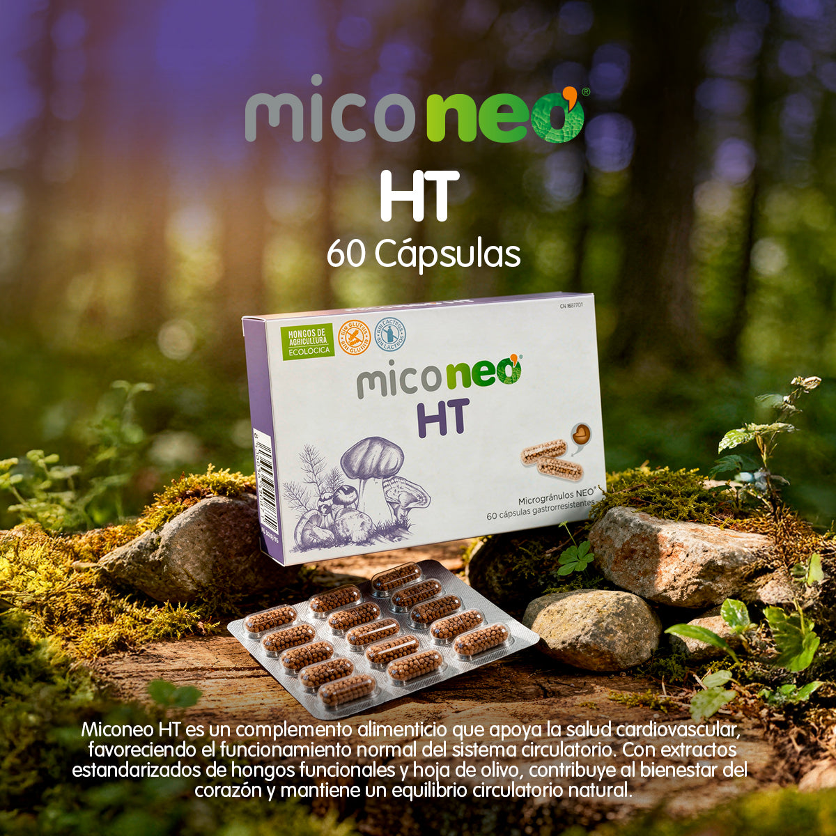 MICONEO HT