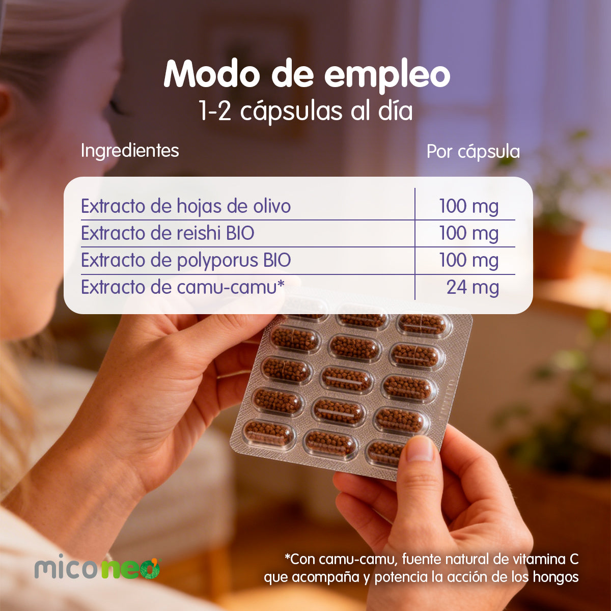 MICONEO HT