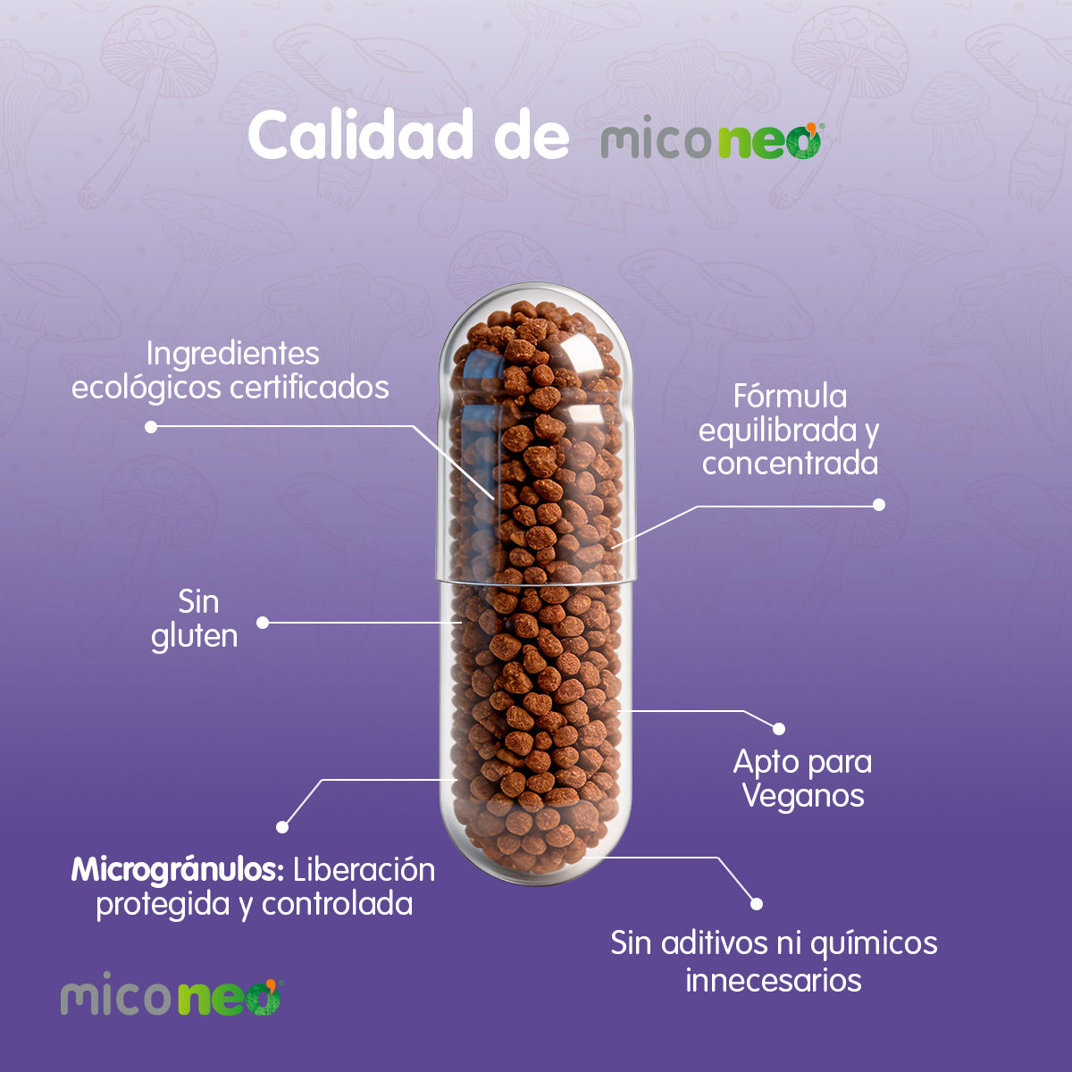 MICONEO HT