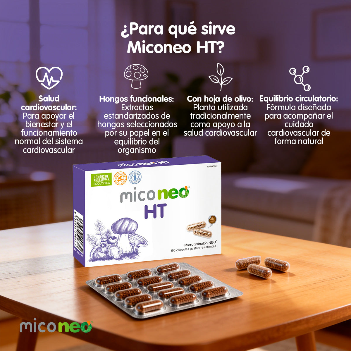 MICONEO HT