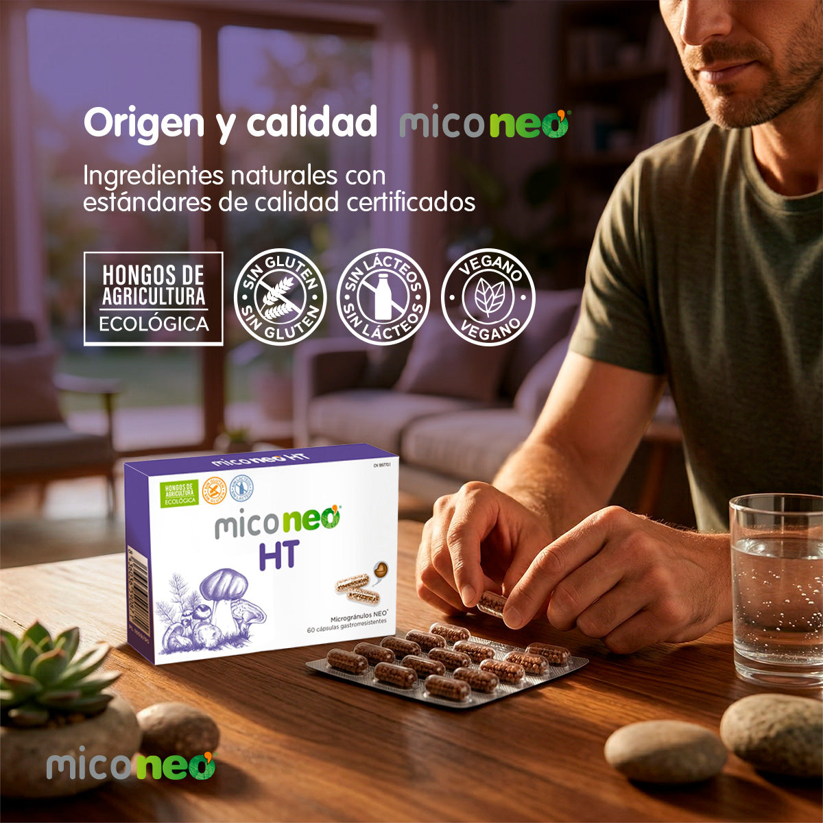MICONEO HT