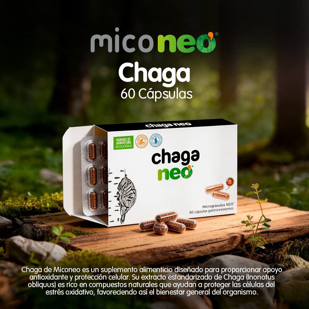 CHAGA NEO