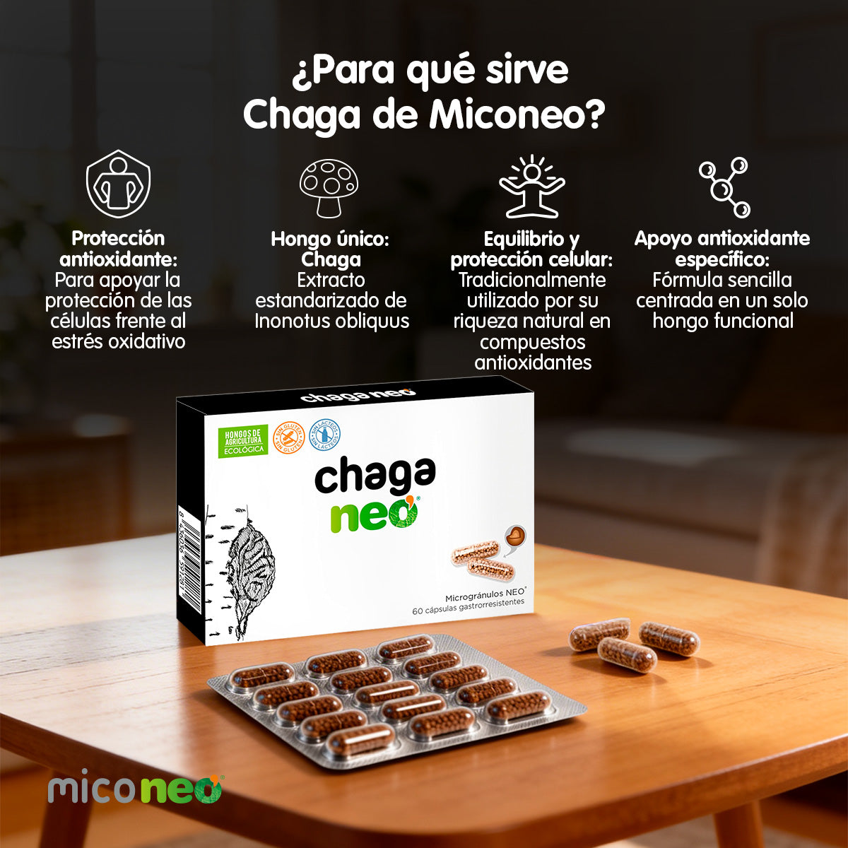 CHAGA NEO