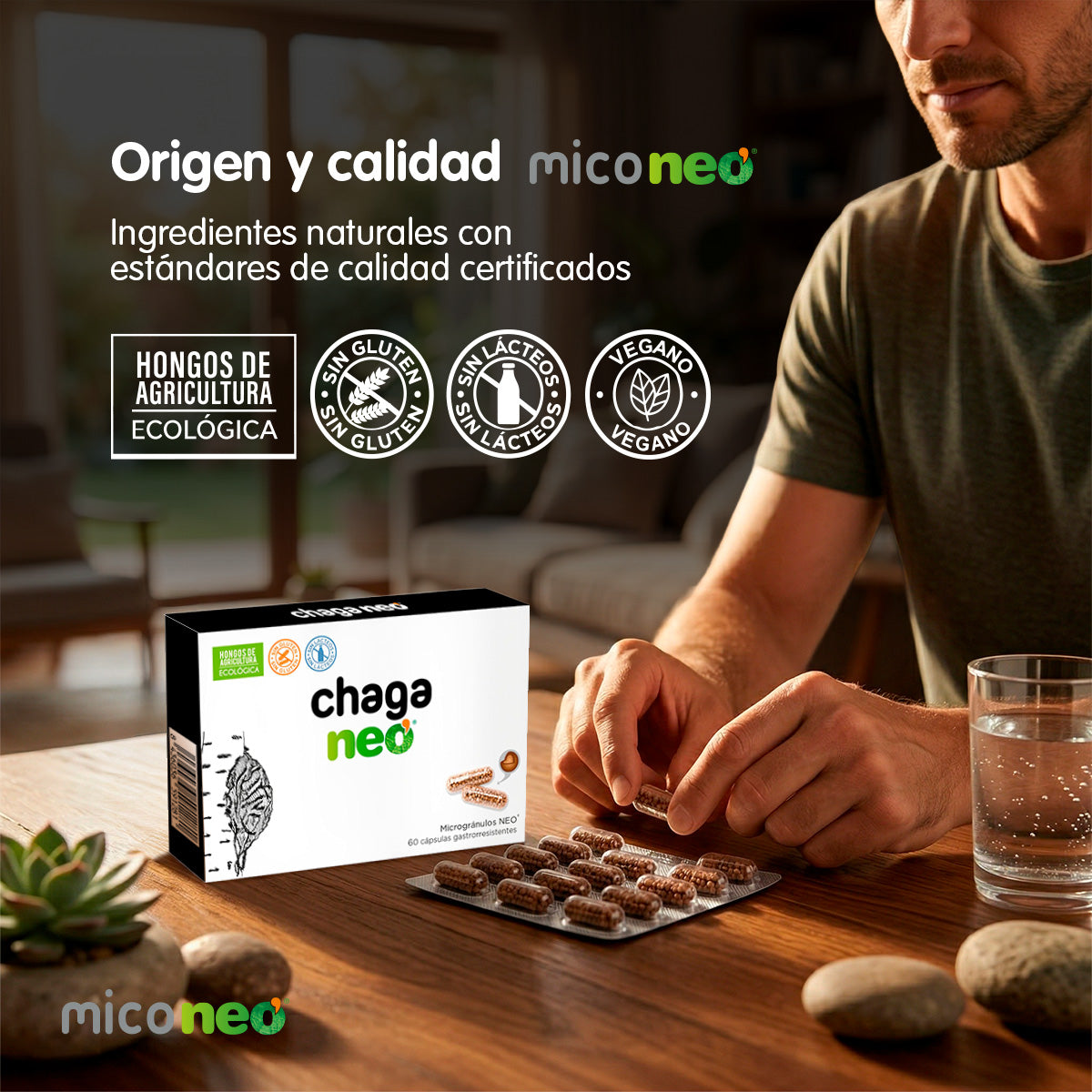 CHAGA NEO
