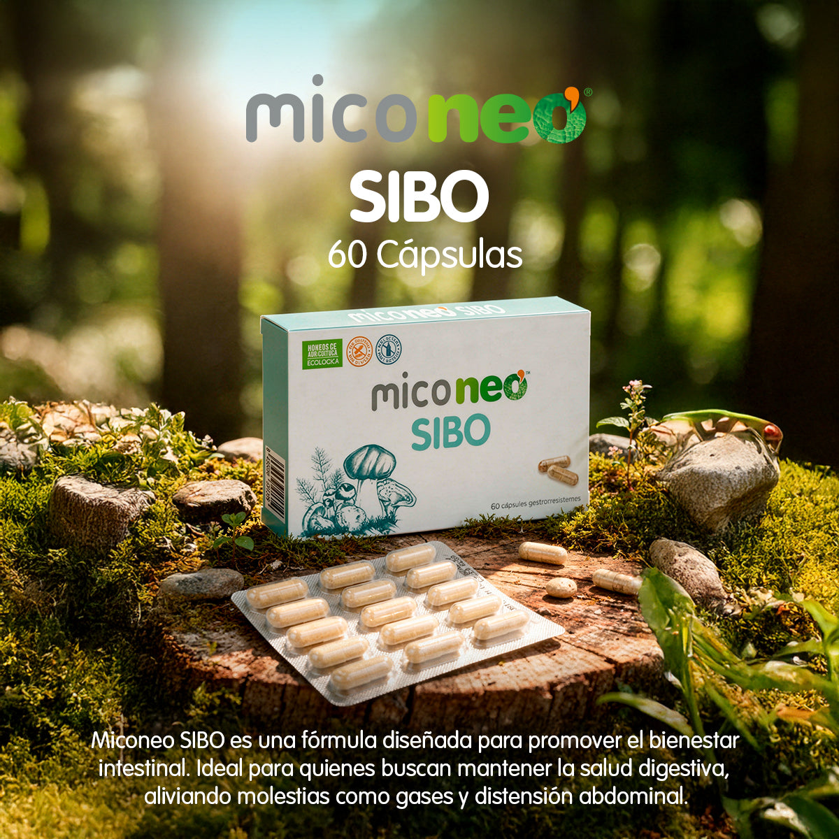 MICONEO SIBO