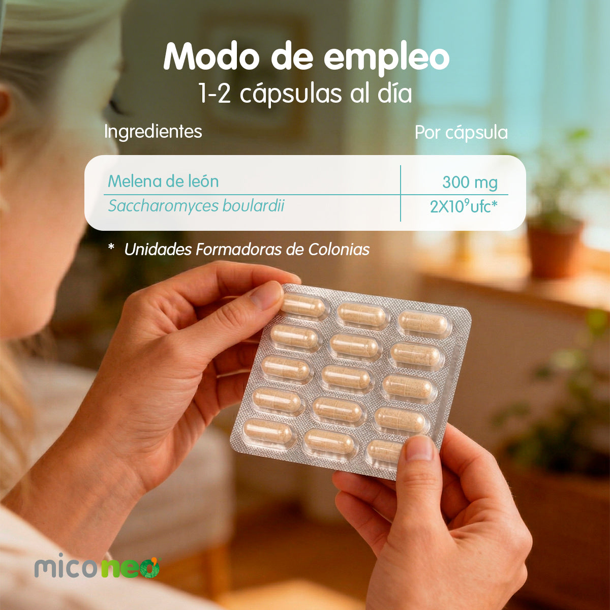 MICONEO SIBO