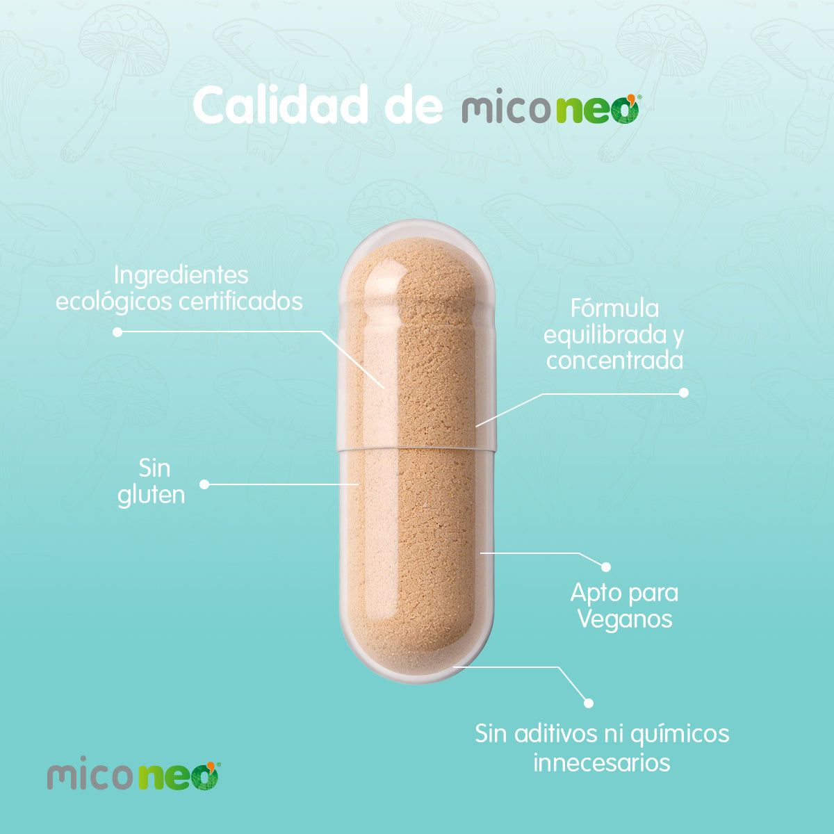 MICONEO SIBO
